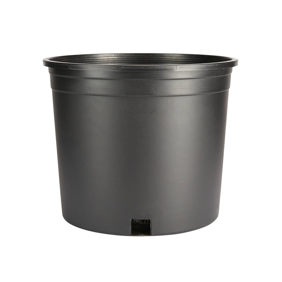 Style Selections 10.25 - in W x 8.8 - in H Black Plastic Hanging Nursery Planter