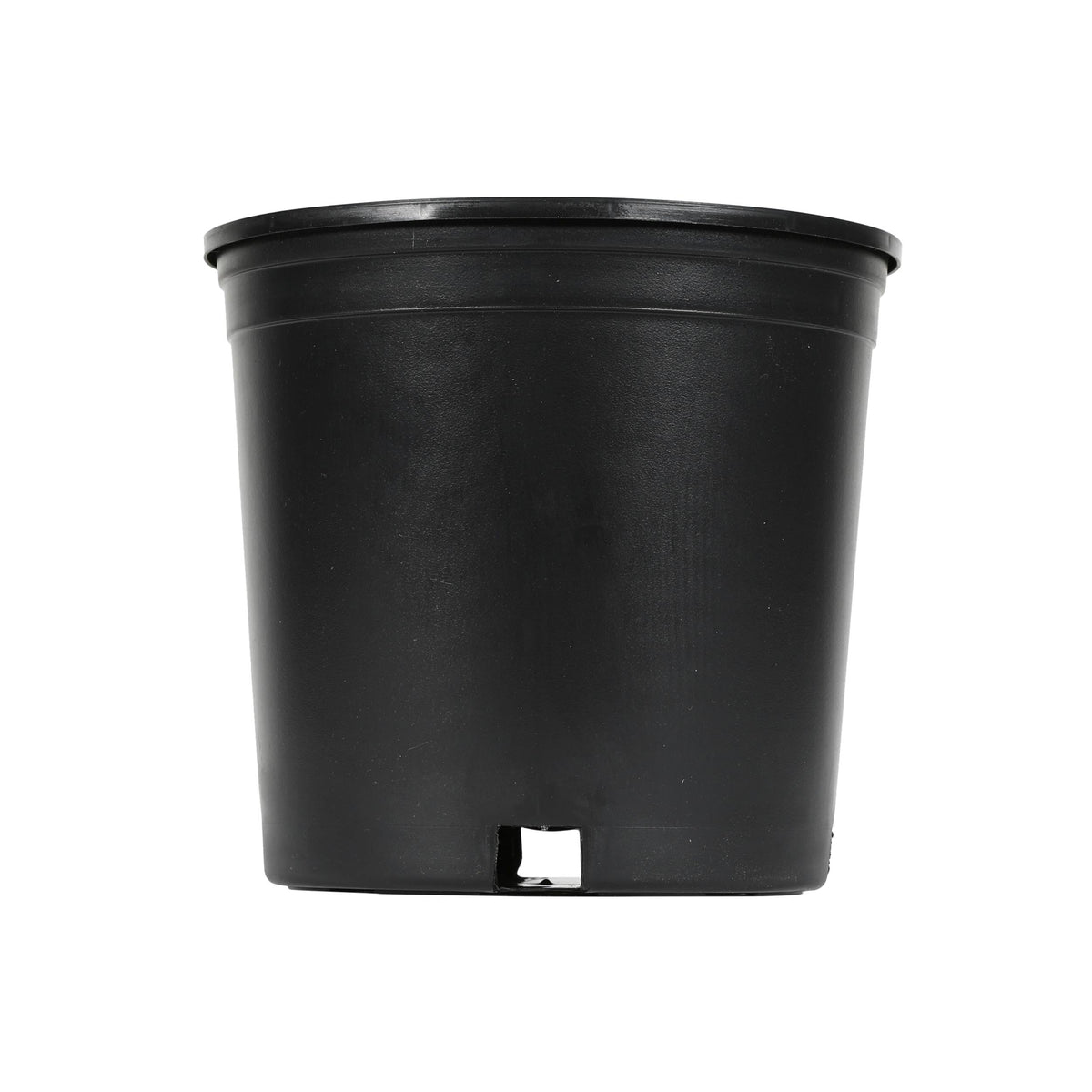 Style Selections 8.8 - in W x 8.25 - in H Black Plastic Nursery Planter